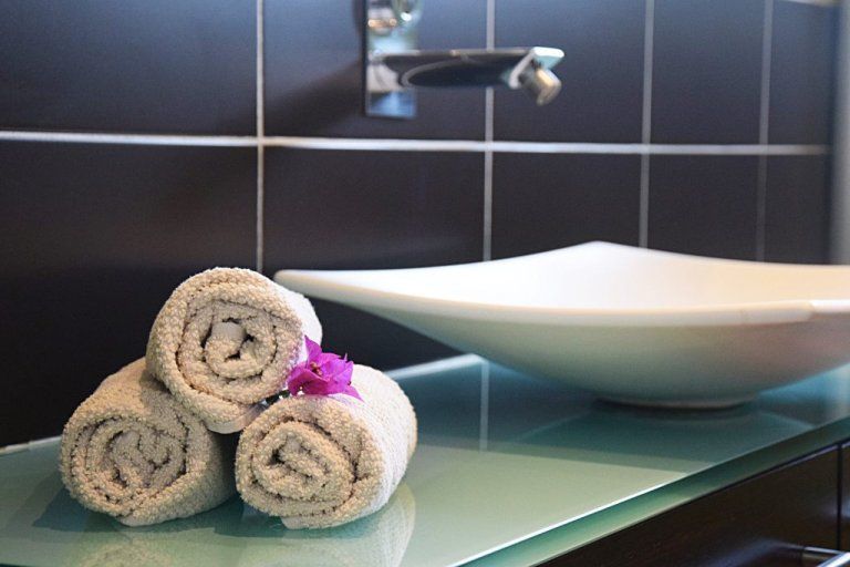 Serviettes fournies, vasque de la salle de bain