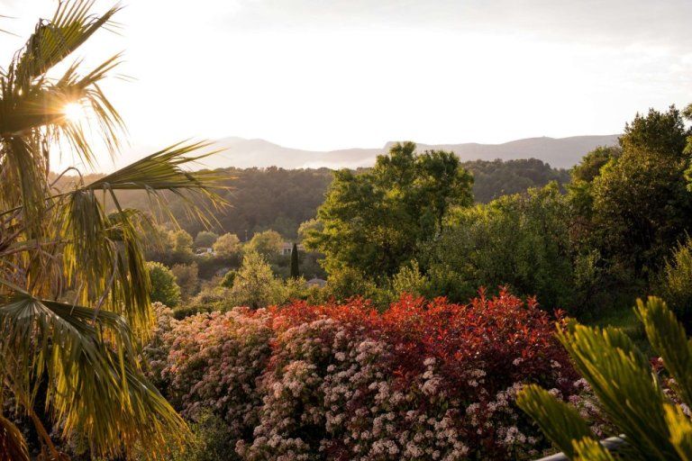 Le jardin fleuri face aux collines
