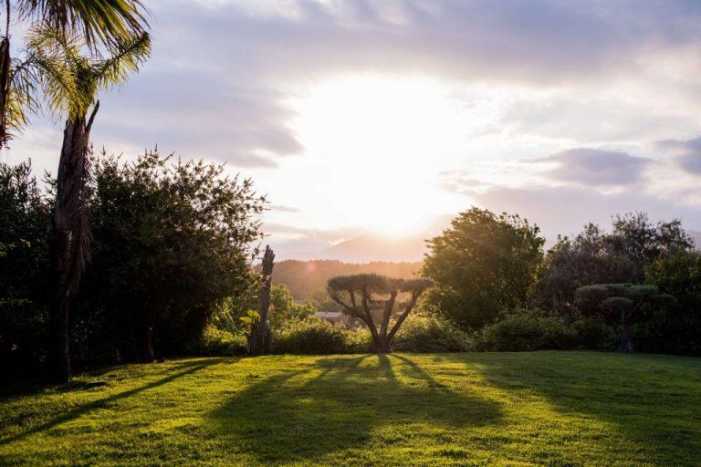 Coucher de soleil sur la pelouse du jardin