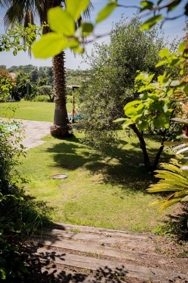La pelouse ombragée du jardin